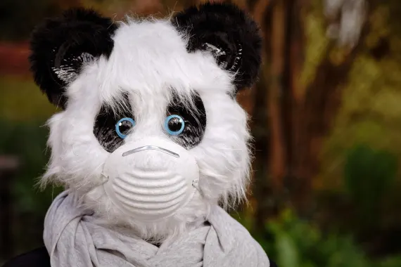 Casino Cabaret Club Support